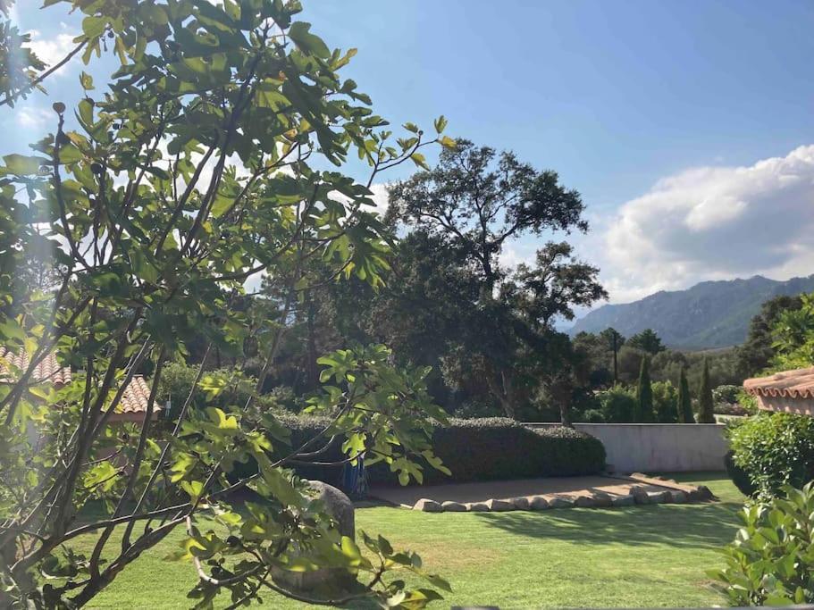 Maison Sainte Lucie De Porto-Vecchio Ngoại thất bức ảnh